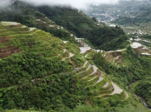 Reisterrassen in Banaue
