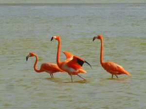 Photo 20-05-14 10 39 18 (Kopie)