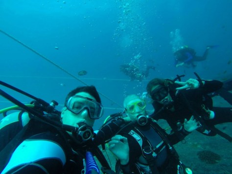 12186430_10205320455798038_196310712550884508_o (Kopie)