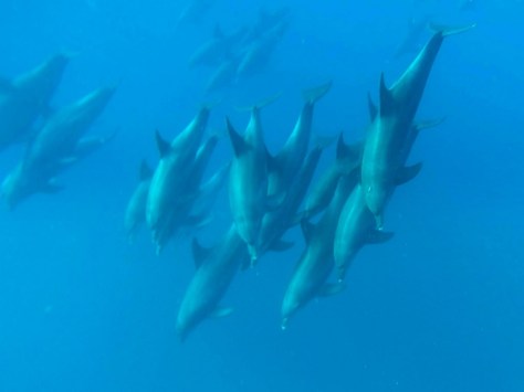 12186637_10205320455758037_4996151625943844583_o (Kopie)