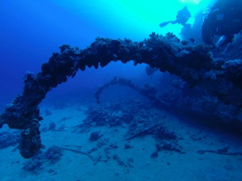 12188066_10205320457878090_2354795584007911543_o (Kopie)